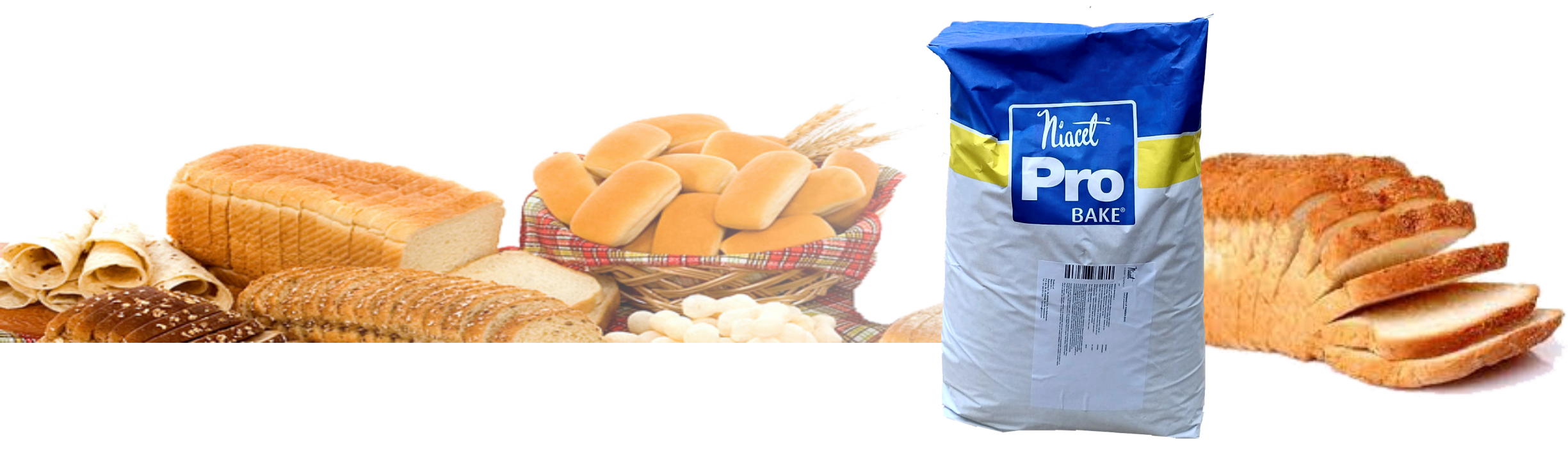 apresentação celusal SITE.png