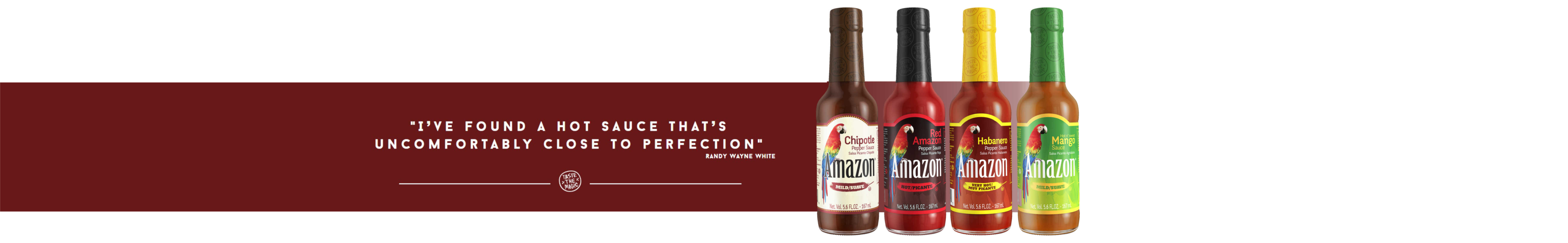 apresentação amazon SITE.png