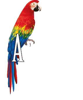 logo (1).png