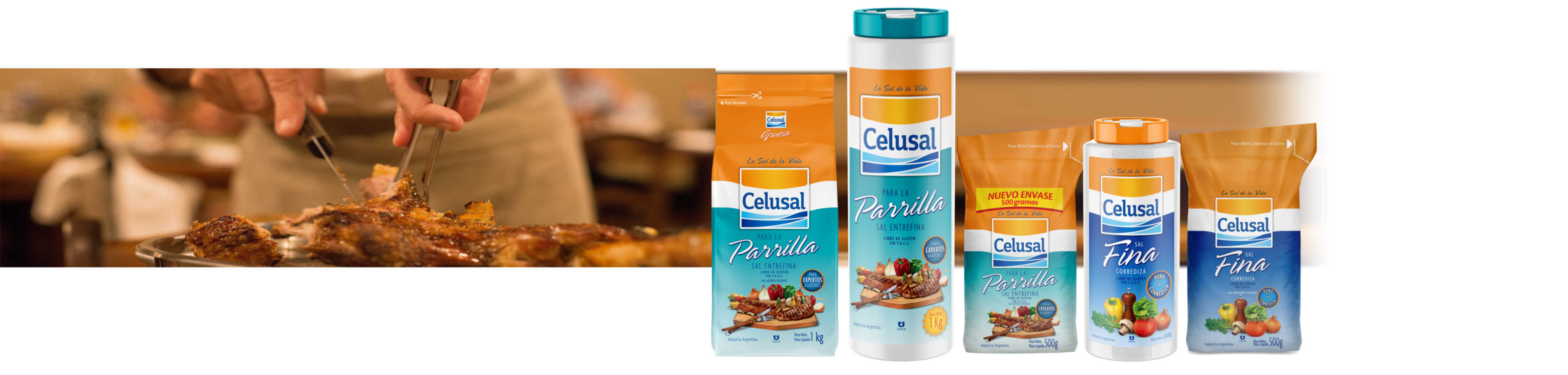 apresentação celusal SITE.jpg